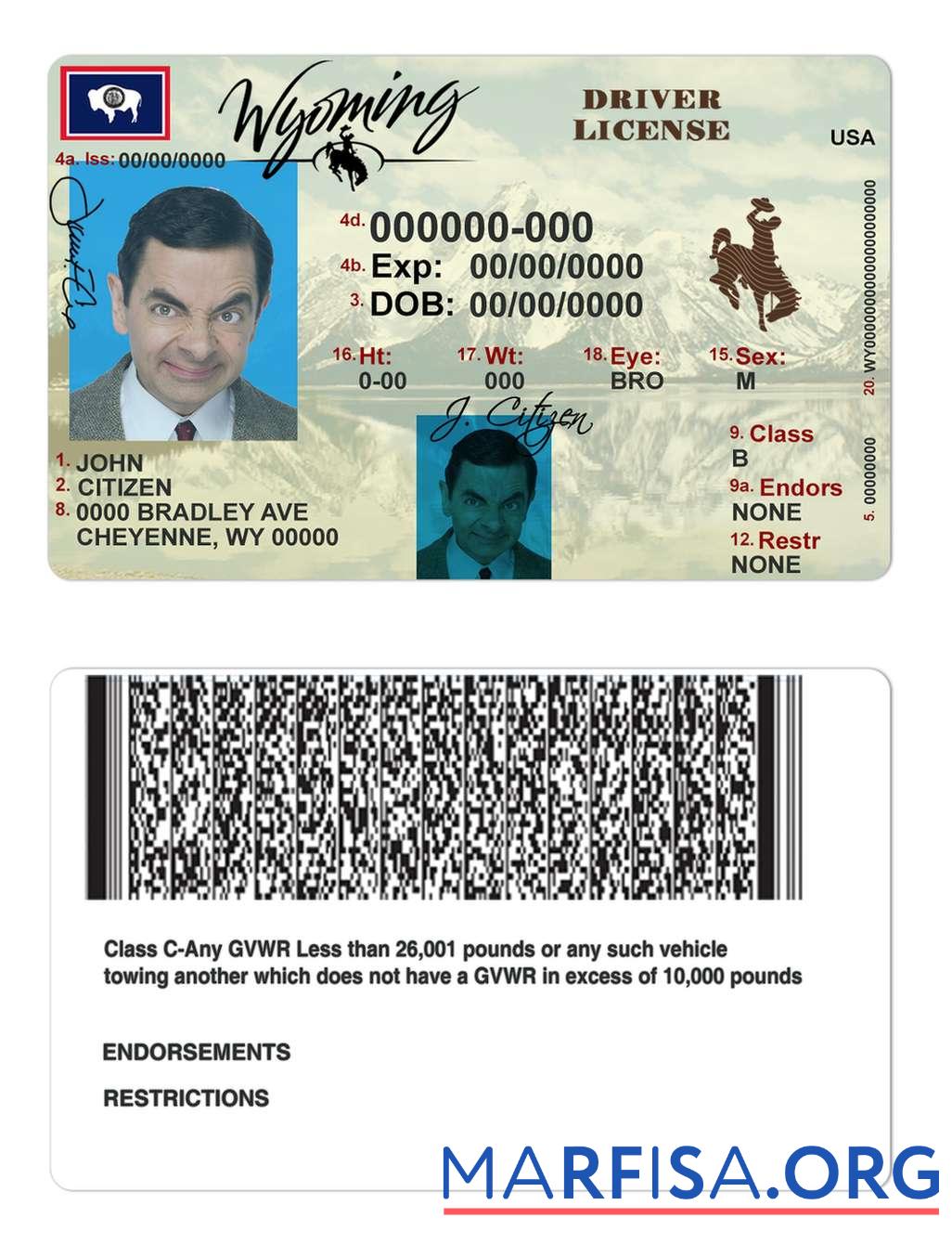 Downloadable USA Wyoming state driving license sample